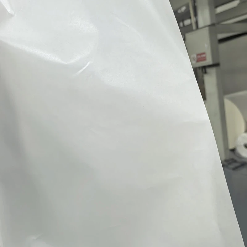 Paper Heat Seal Bags