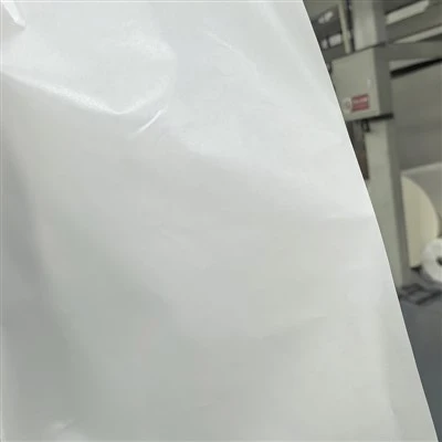 Paper Heat Seal Bags