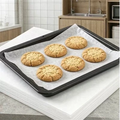 Paperboard Food Packaging